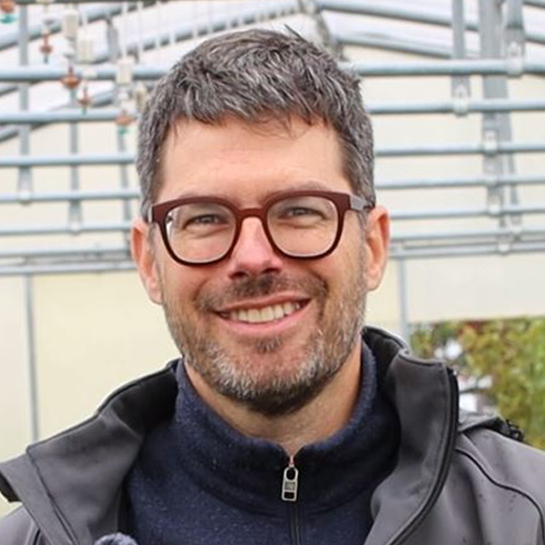 David Maarsen